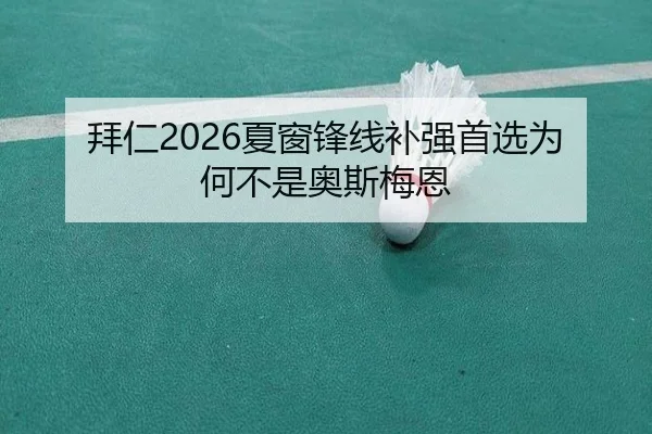 拜仁2026夏窗锋线补强首选为何不是奥斯梅恩